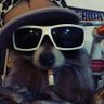 MOLLY !!! 🦝 的头像