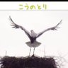 。991ちゃん(よささん) profil fotoğrafı