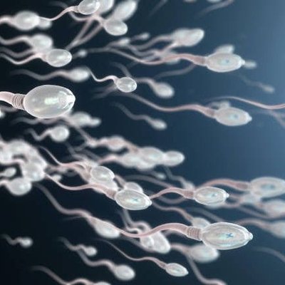 kingsperm952's profile picture