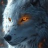 ذئب🐺 的头像