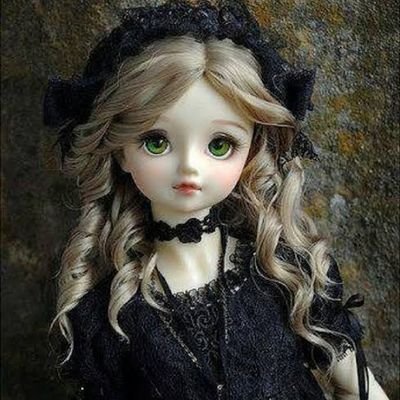Zonia's profile picture