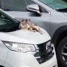 mori mori's profile picture