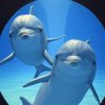 589Time's profile picture