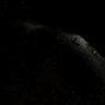 Profilbild von Ripley
