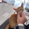 rtv 的头像