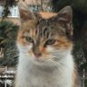 sourcrabby profil fotoğrafı