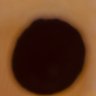 Profilbild von ぬぬこん