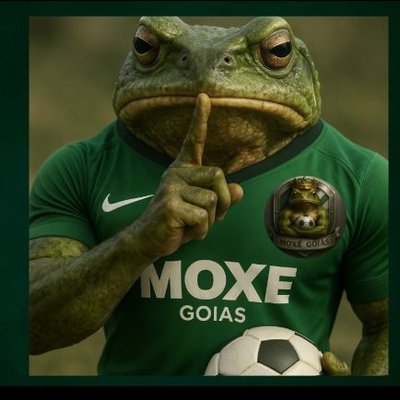 Moxé Goiás's profile picture