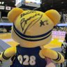 KOZU's profile picture