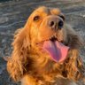 Cristina's profile picture