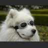 Profilbild von kidboy