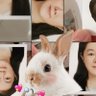 郭小羚's profile picture
