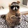 йинотег 🔞🇷🇺's profile picture