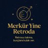 Profilbild von Merkürrr