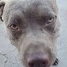 Profilbild von David