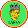 Daniel Ganjaman's profile picture