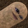 Ris_'s profile picture