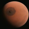 Rüdiger von Dannen's profile picture