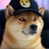 🐶PlanÐ🐕 的头像
