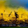 Nik💛💙's profile picture