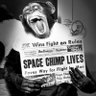 SpaceChimp84 的头像