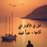 مملكتي حبيبتي's profile picture