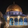 Фото профиля Waad
