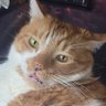 Profilbild von Hobson Games YT