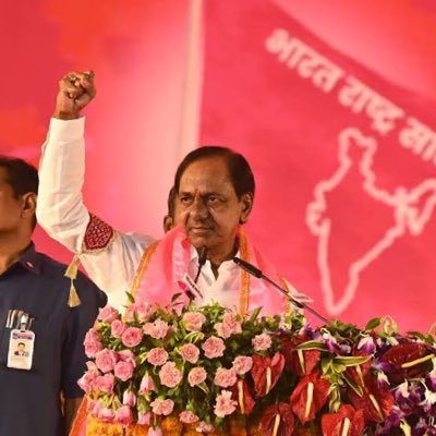 Political_T20's profile picture