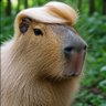 Profilbild von Carpincho Enojado