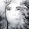 Rana AlJaber's profile picture