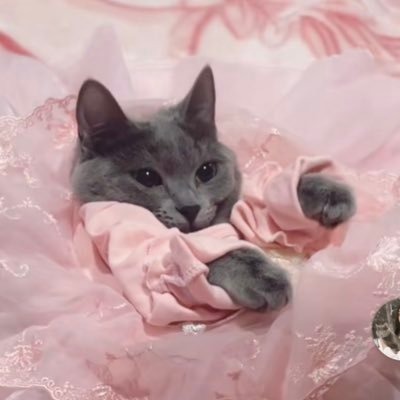 carla's profile picture