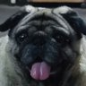 Leon's profile picture