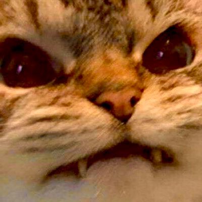 blu lino☼'s profile picture