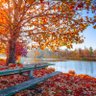Фото профиля Autumn Buddy