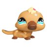 Platy 的头像