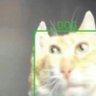 Petty profil fotoğrafı