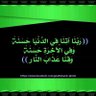 رضا عمار's profile picture