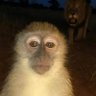 Em profil fotoğrafı