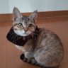 はなちゃん's profile picture