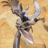 Cole Pfieffer profil fotoğrafı