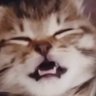 Profilbild von co
