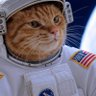 Profilbild von FuzzBucket