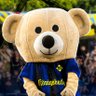 Profilbild von Henrise | SchorlebรคrSZN | Rebbe raus!