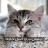 mohammed Algml profil fotoğrafı