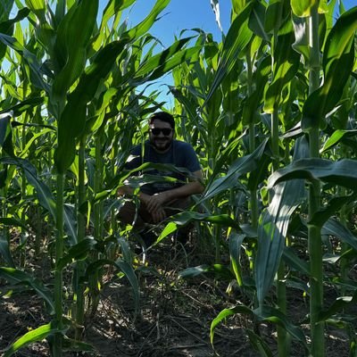 migueocchionero's profile picture