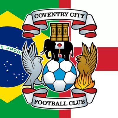 SkyBluesBR's profile picture