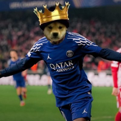 VIT Keyzer 🐝's profile picture