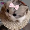 clara ♡'s profile picture