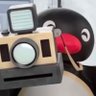 pandaluvsgreens profil fotoğrafı